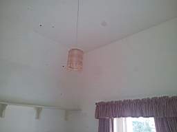 fkillineybeforeinternal 1525.jpg